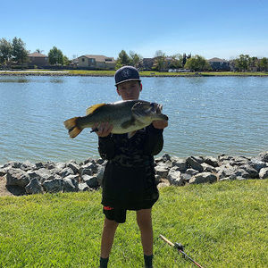 Meet your Posher, Landon